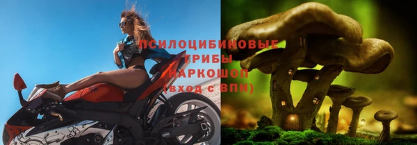 сатива Алзамай