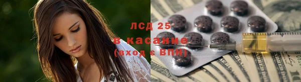 сатива Алзамай