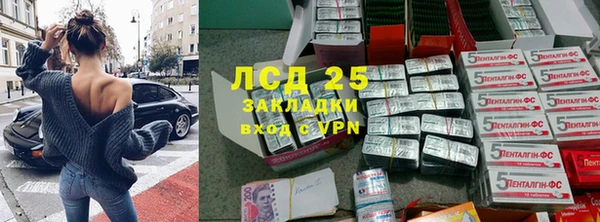 ГАЛЛЮЦИНОГЕННЫЕ ГРИБЫ Алексин
