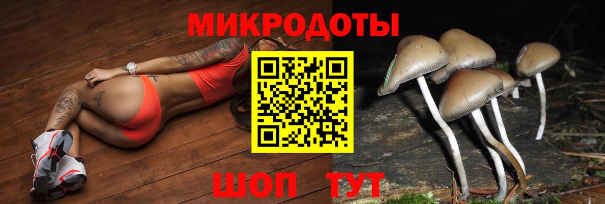 Псилоцибиновые грибы MAGIC MUSHROOMS Заводоуковск