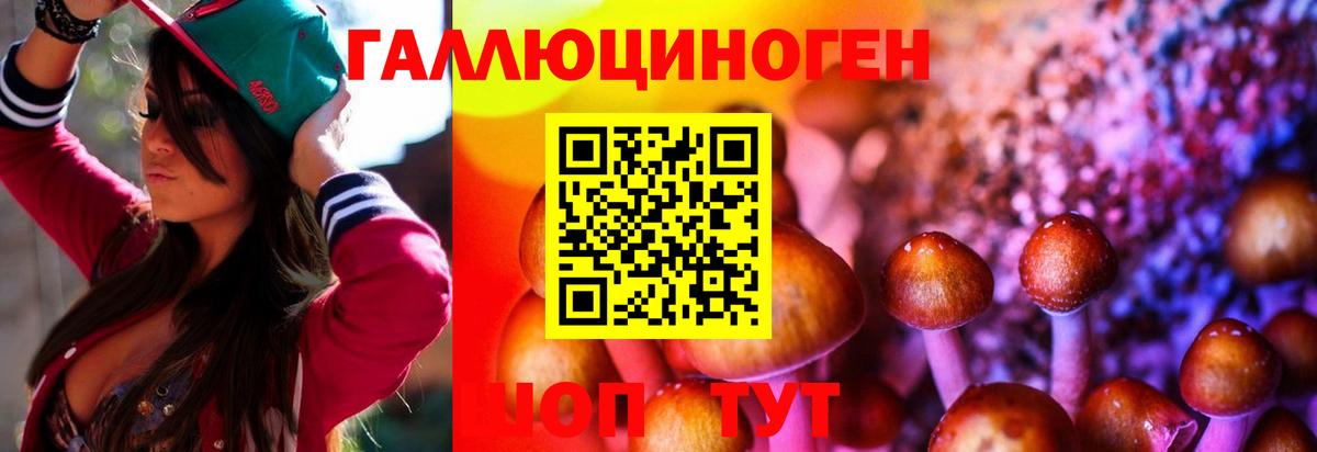 Галлюциногенные грибы GOLDEN TEACHER  Вход с VPN  Заводоуковск 